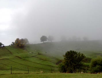 Suloban / 15.10.2006