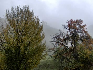 Suloban / 15.10.2006