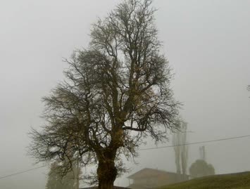 Suloban / 15.10.2006