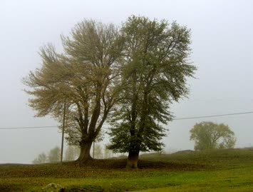 Suloban / 15.10.2006