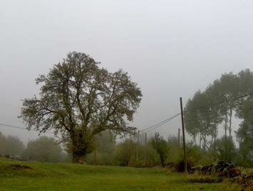 Suloban / 15.10.2006