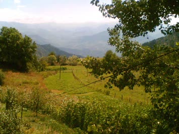 Güzel Zirziratım