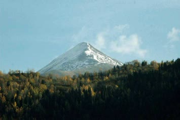 Meryadan Gencian