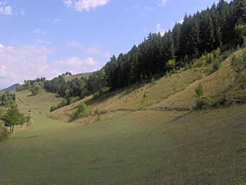 Kapan