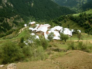 Cami Mahalle