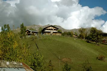 Suloban Çiçikgil
