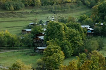 Kartalgil
