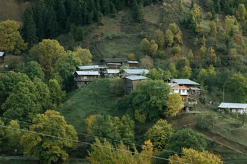 Ogeca