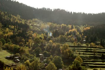 Bologor