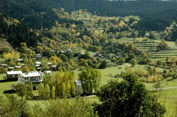 Ogecalar