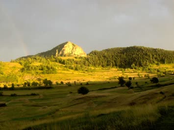 Kara Meşe / Moqta