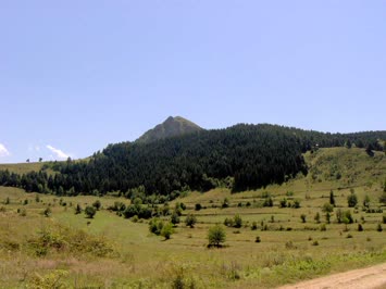 Moqta