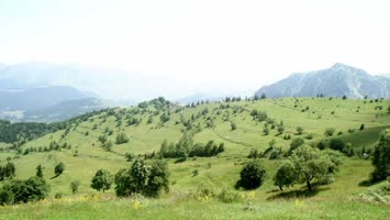 Tetrat