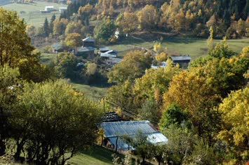 Citolar