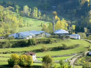 Cami ve Okul