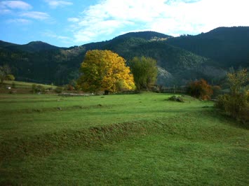 Sonbaharın Güzelliği 7- 11- 2006