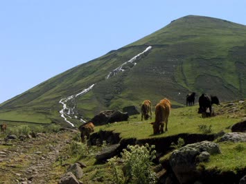 yaylalar-danabayiri