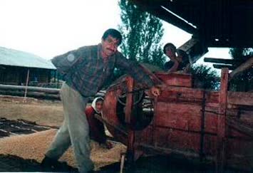 Şavta