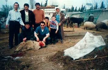 Şavta