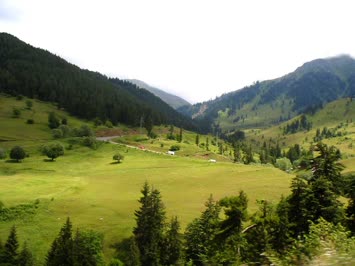Laşet