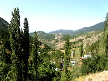 Ilica