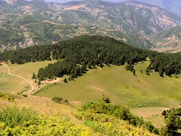 Moqta