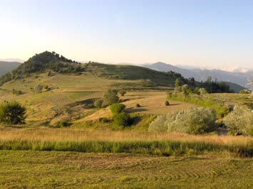 Moqta