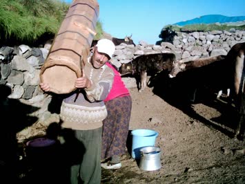 Hayrettin yayuği yaymiş yığamaya göturiyer
