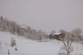 2006 Kasım Yavuzköy