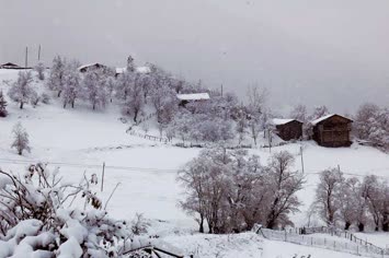 2006 Kasım Yavuzköy