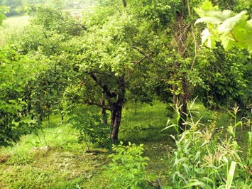 Savaş Köyü