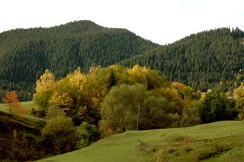 merya nabada