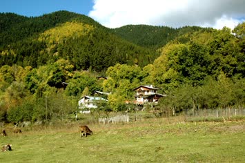 torungil