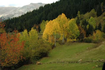 Sonbahar Manzaraları