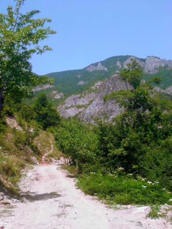 Ruca