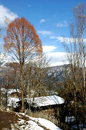 Tepebaşı