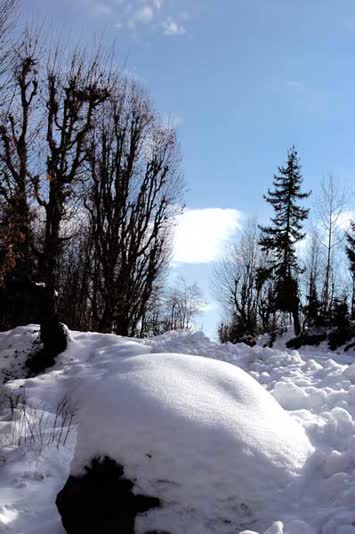 tepebasi yolu