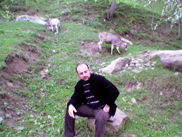 Olgun Yazar