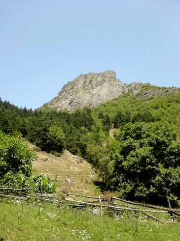 Küplüce Köyü
