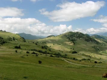 karafil punxari