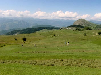 kodana-kapi cayiri