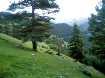 Balvana