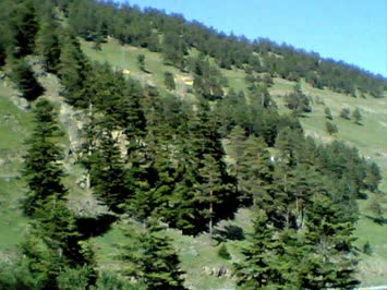Balvana