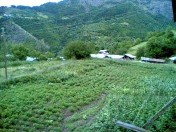 Balvana