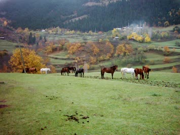 tibetin atlari