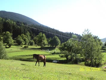 Çartulet