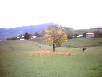 Köyüm