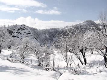Çoraklı
