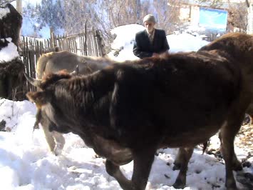 Çoraklı