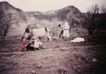 Çoraklı